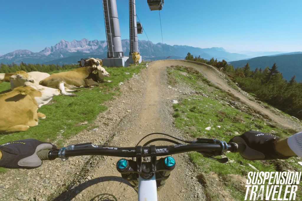 mtb downhill pov flow trail